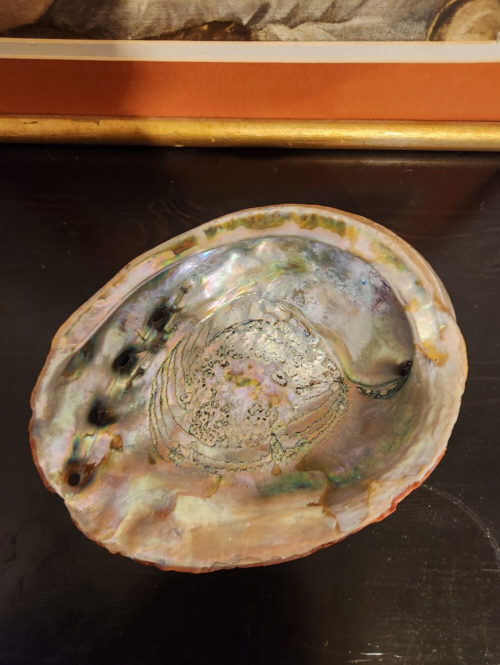 Vge. Large Iridescent Abalone Shell Decorative Bowl - Natural Colors